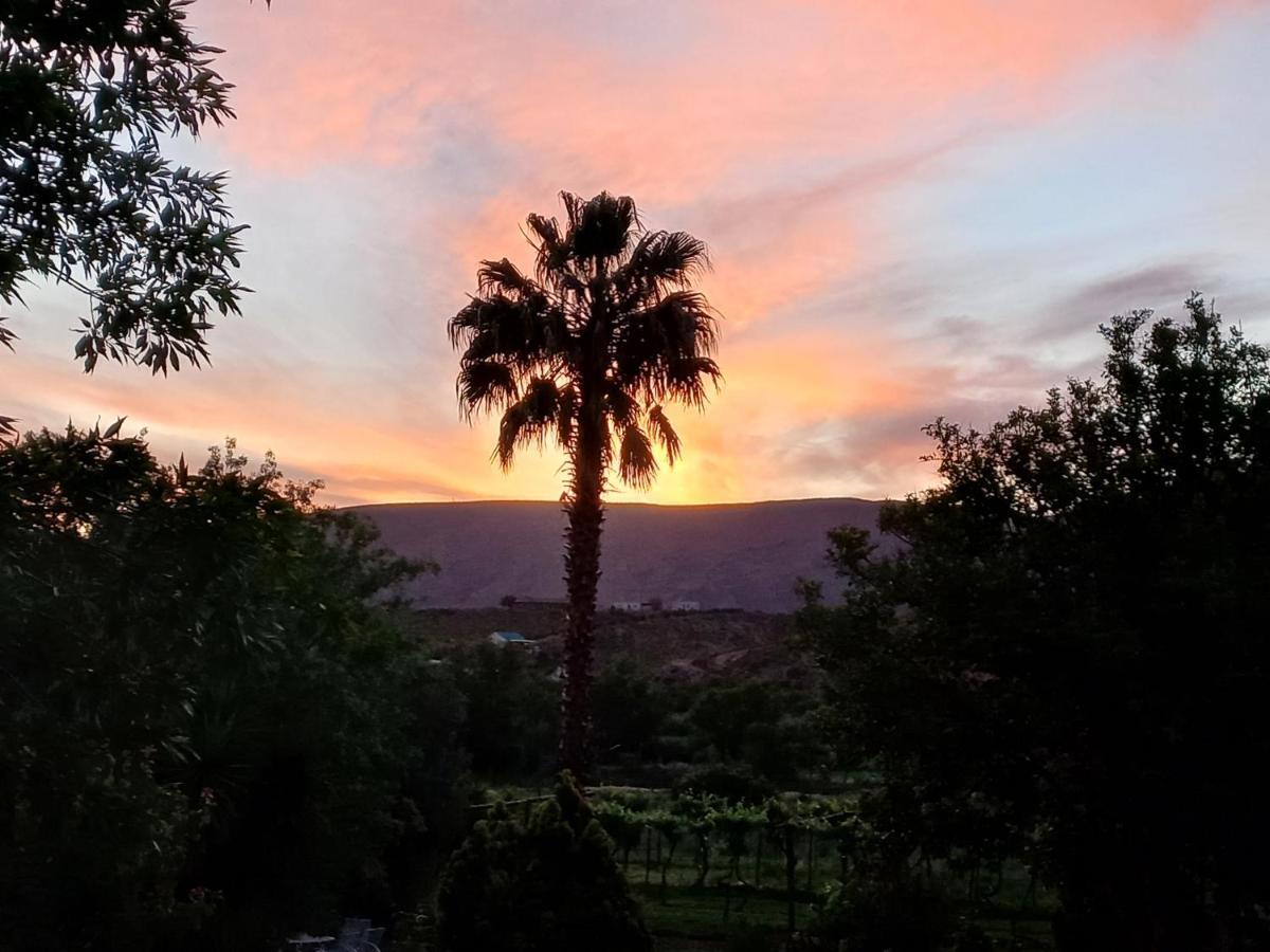 Karoo Life B&B Calitzdorp Εξωτερικό φωτογραφία