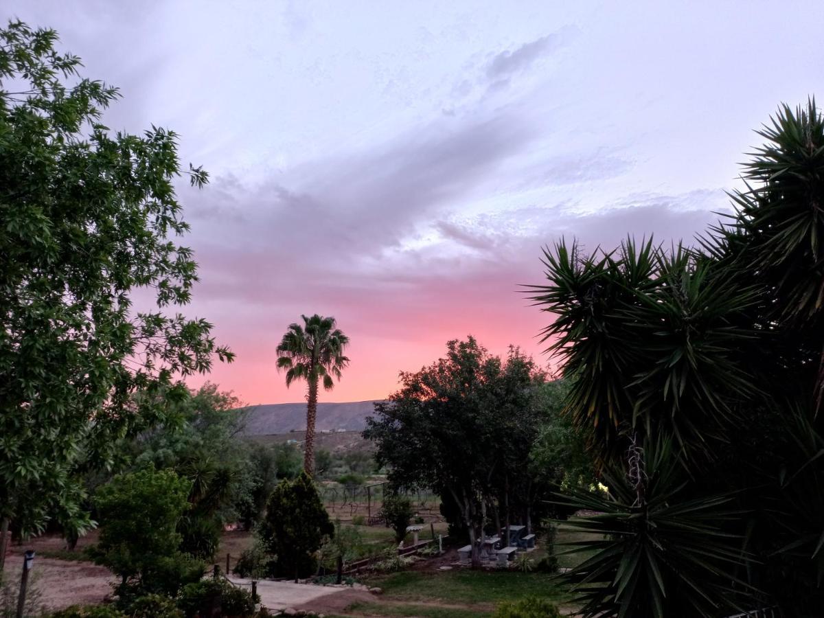Karoo Life B&B Calitzdorp Εξωτερικό φωτογραφία