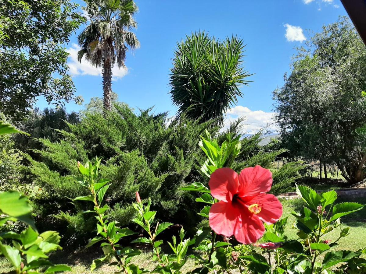 Karoo Life B&B Calitzdorp Εξωτερικό φωτογραφία